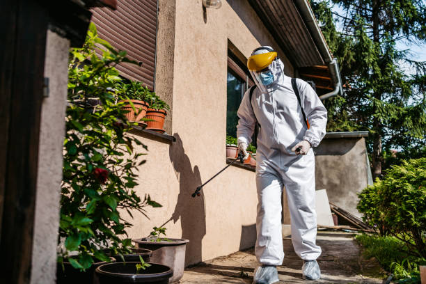 Best Pest Removal Services  in Somerset, TX